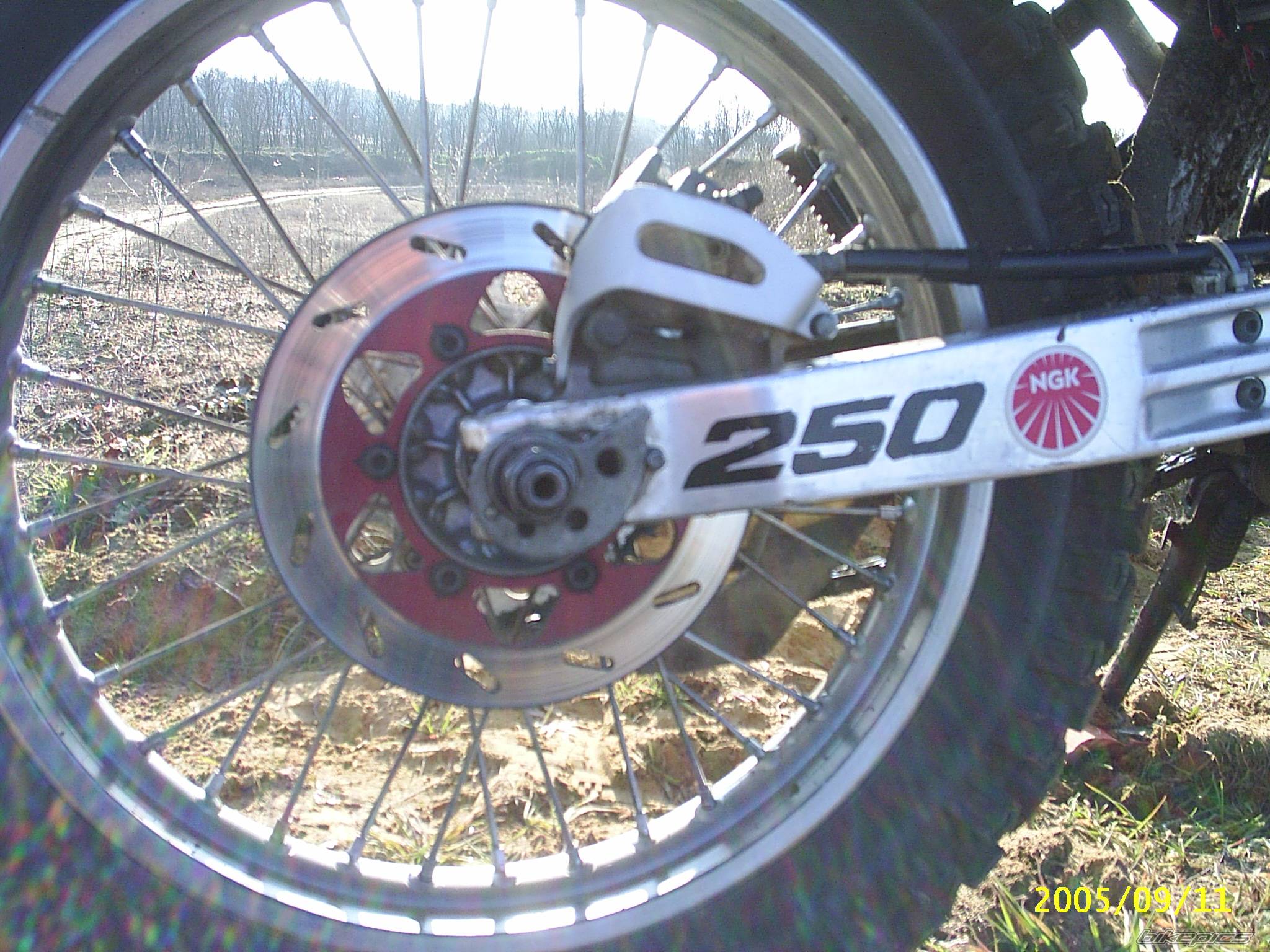 Photo 486454