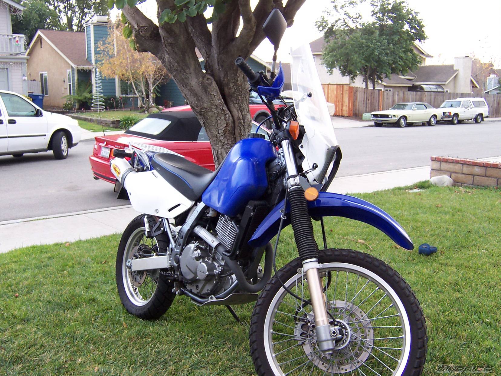 Photo 486486