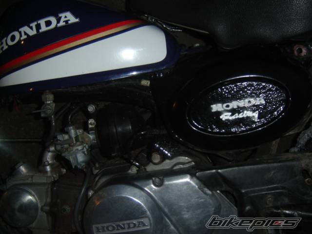 Photo 486568