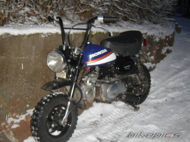 Photo 486572
