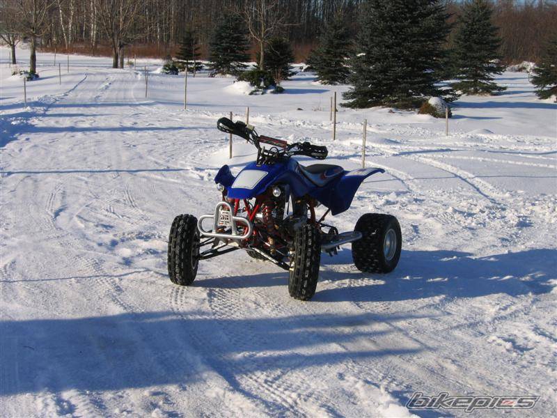 Photo 486574