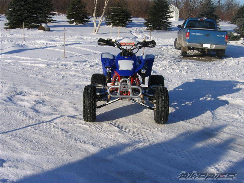 Photo 486579