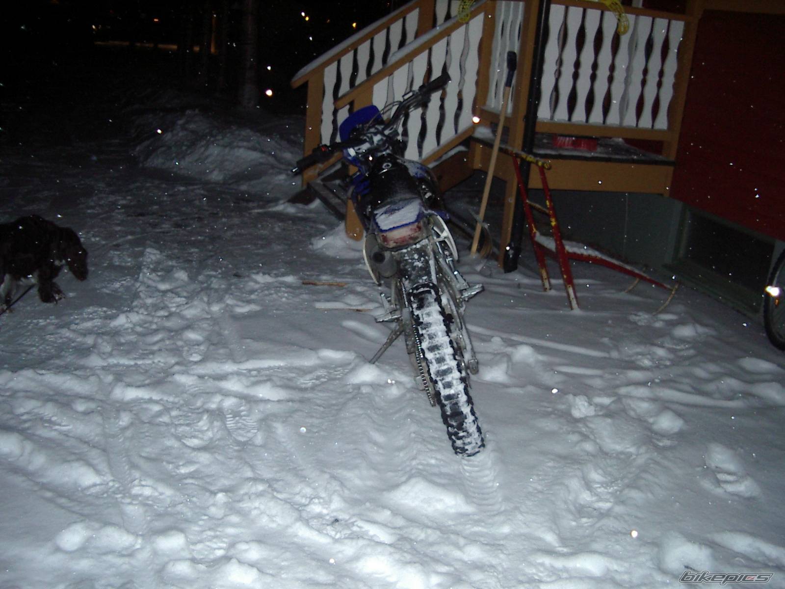 Photo 486643
