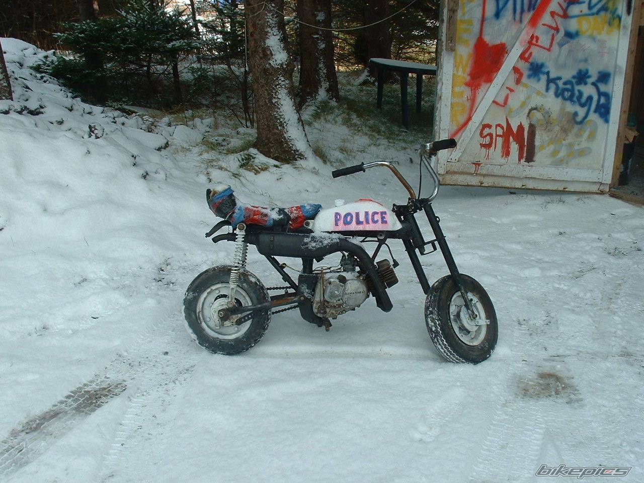 Photo 486688