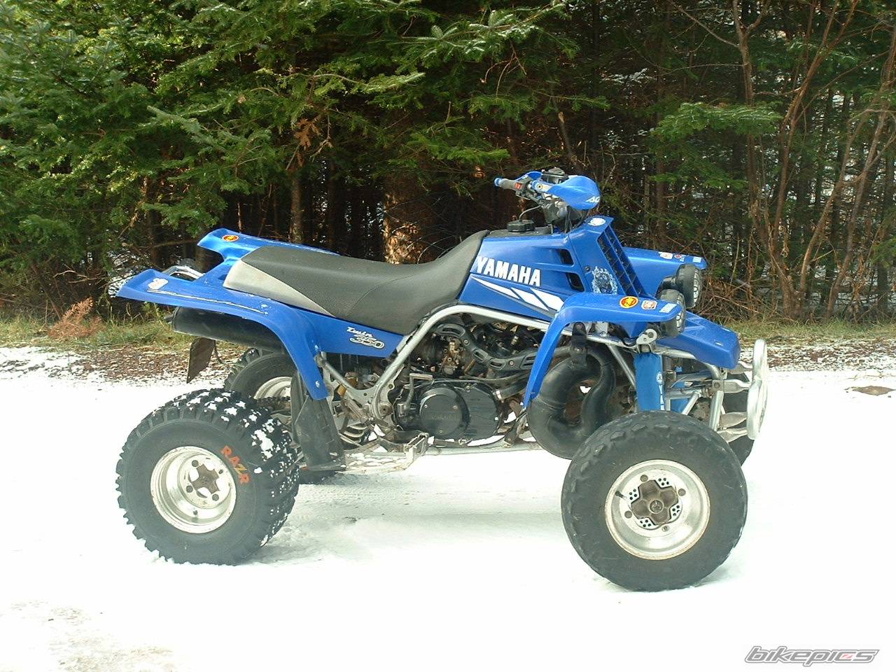 Photo 486691