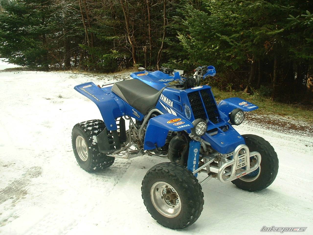 Photo 486694