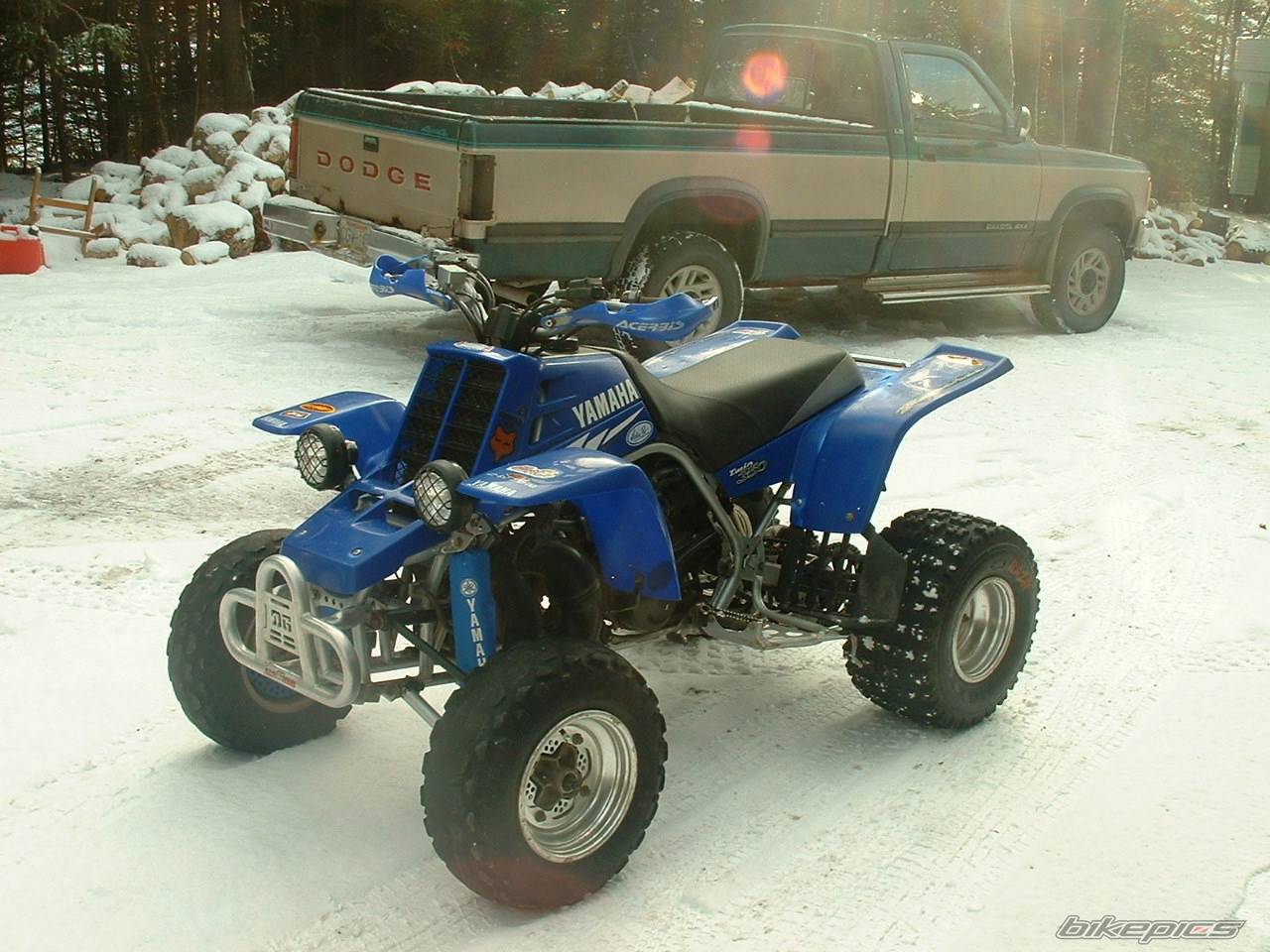 Photo 486699