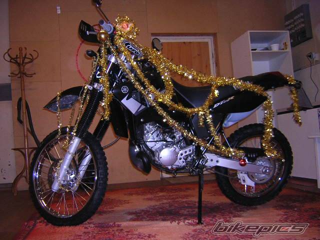 Bike Photo 486717