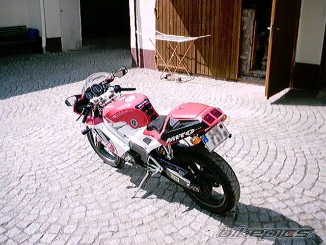 Photo 48677