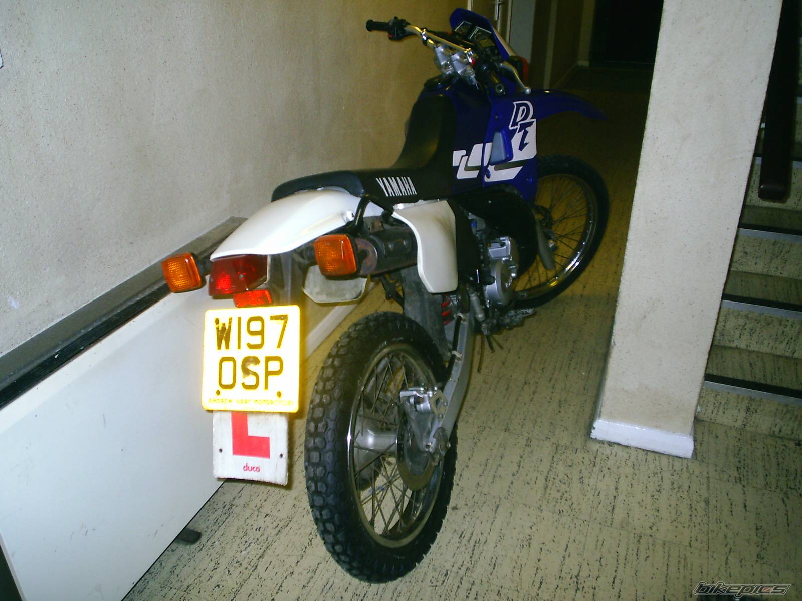 Photo 486777