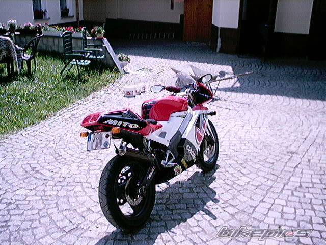 Photo 48679