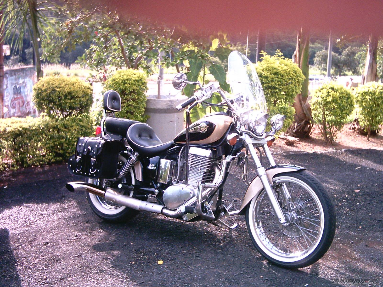 Photo 487178