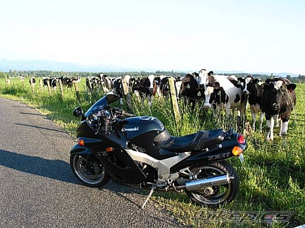 Bike Photo 48718