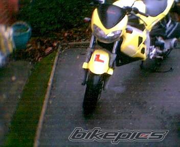 Photo 487199