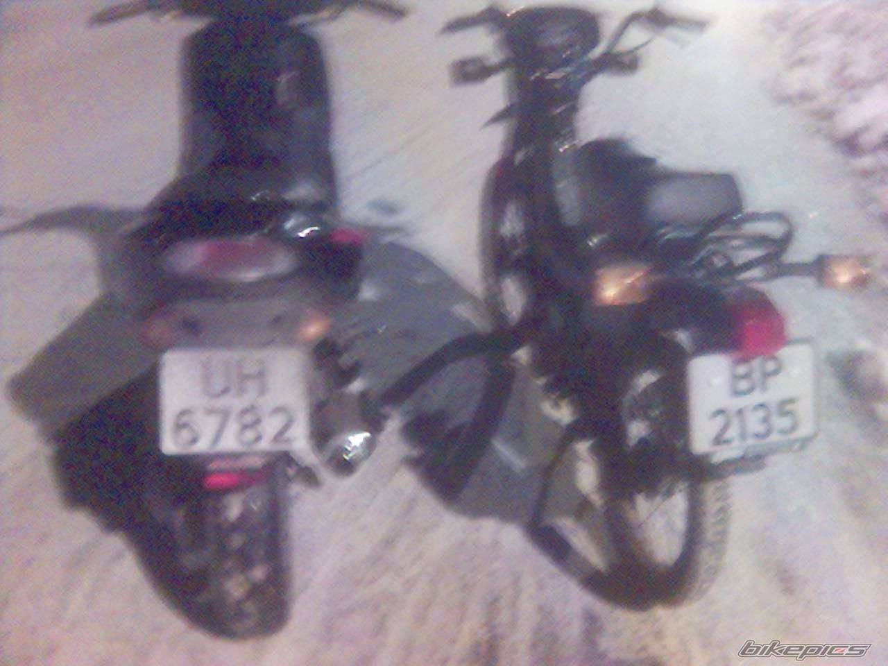 Photo 487368