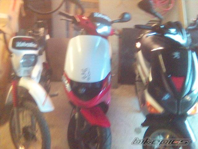 Photo 487376