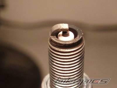 Photo 487439
