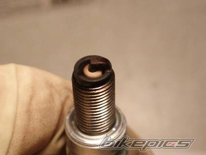 Photo 487440