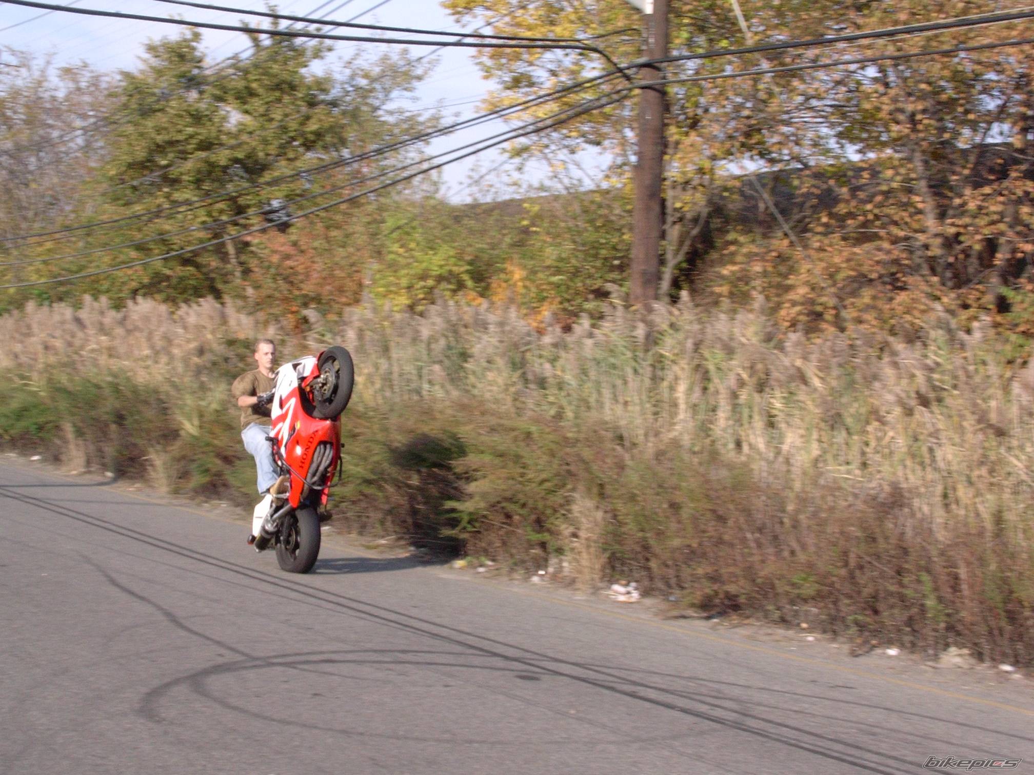 Bike Photo 487450
