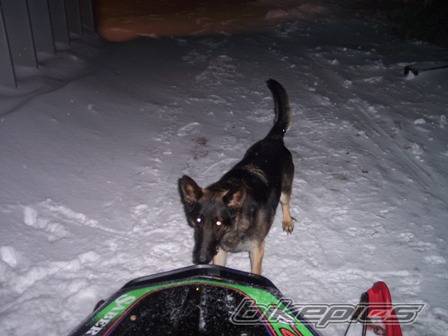 Bike Photo 487630