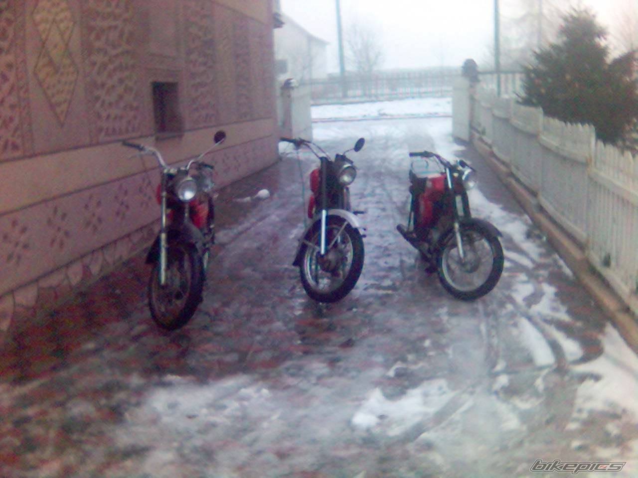 Photo 487654