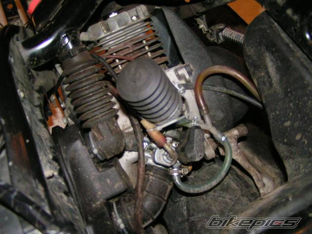 Bike Photo 487699