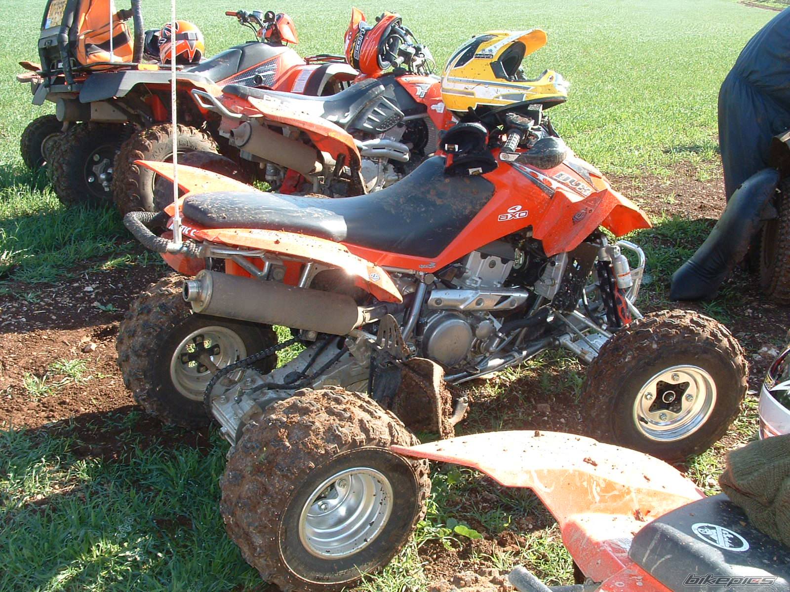 Photo 487745