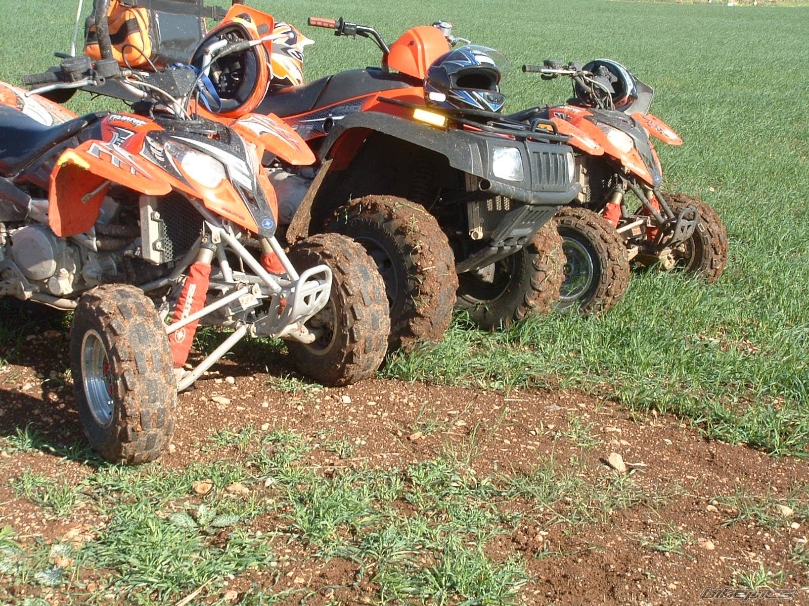 Photo 487769