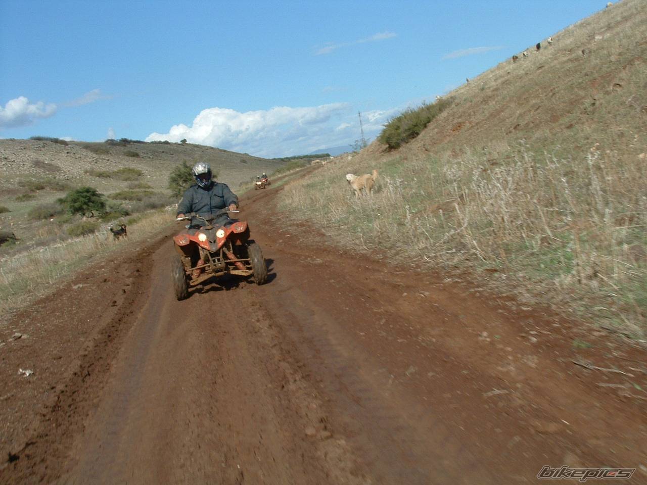 Photo 487787