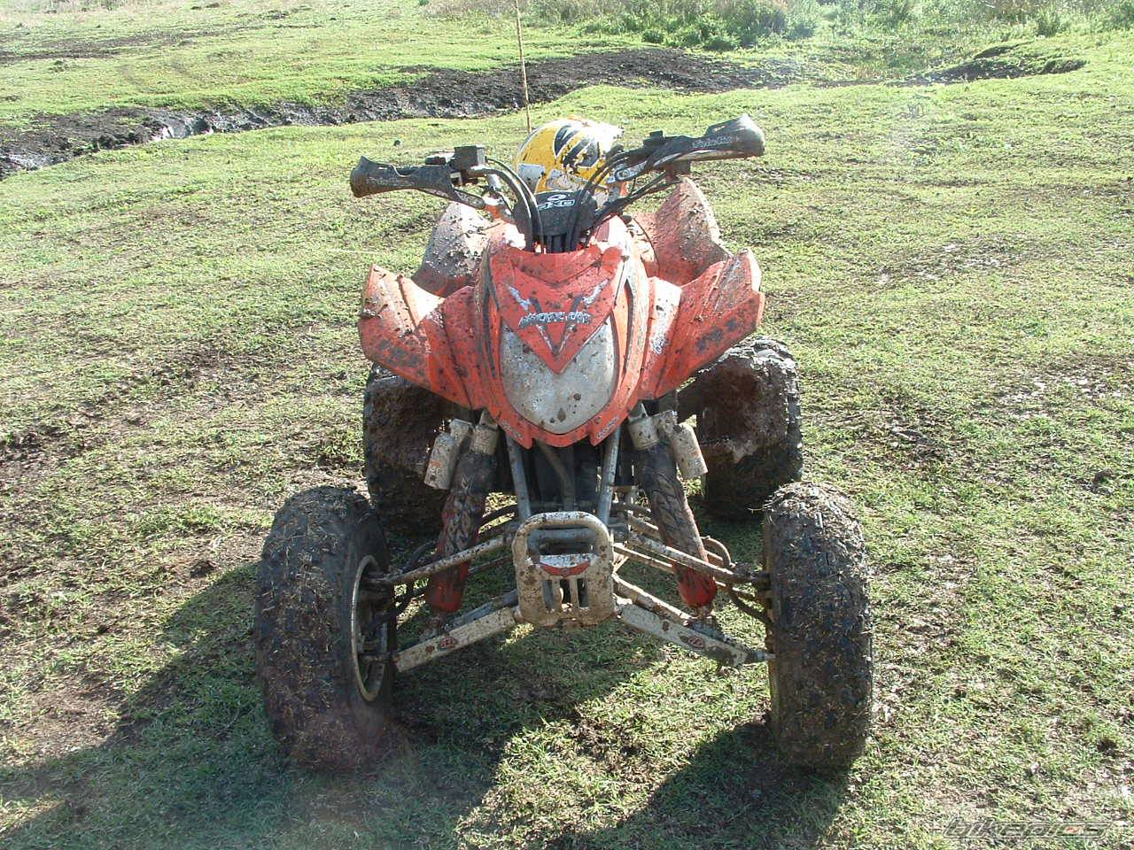 Photo 487801