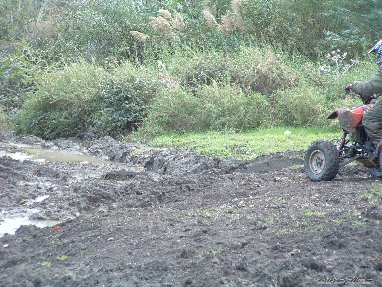 Photo 487815