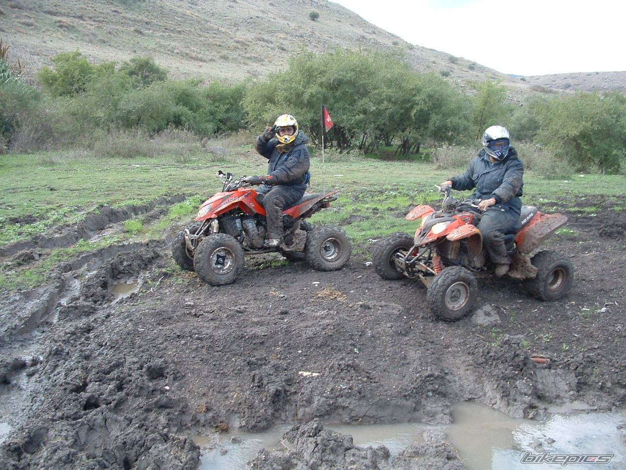 Photo 487823