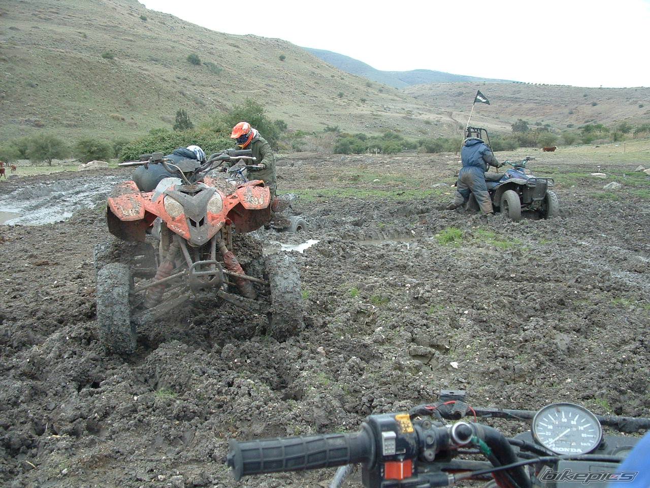 Photo 487852