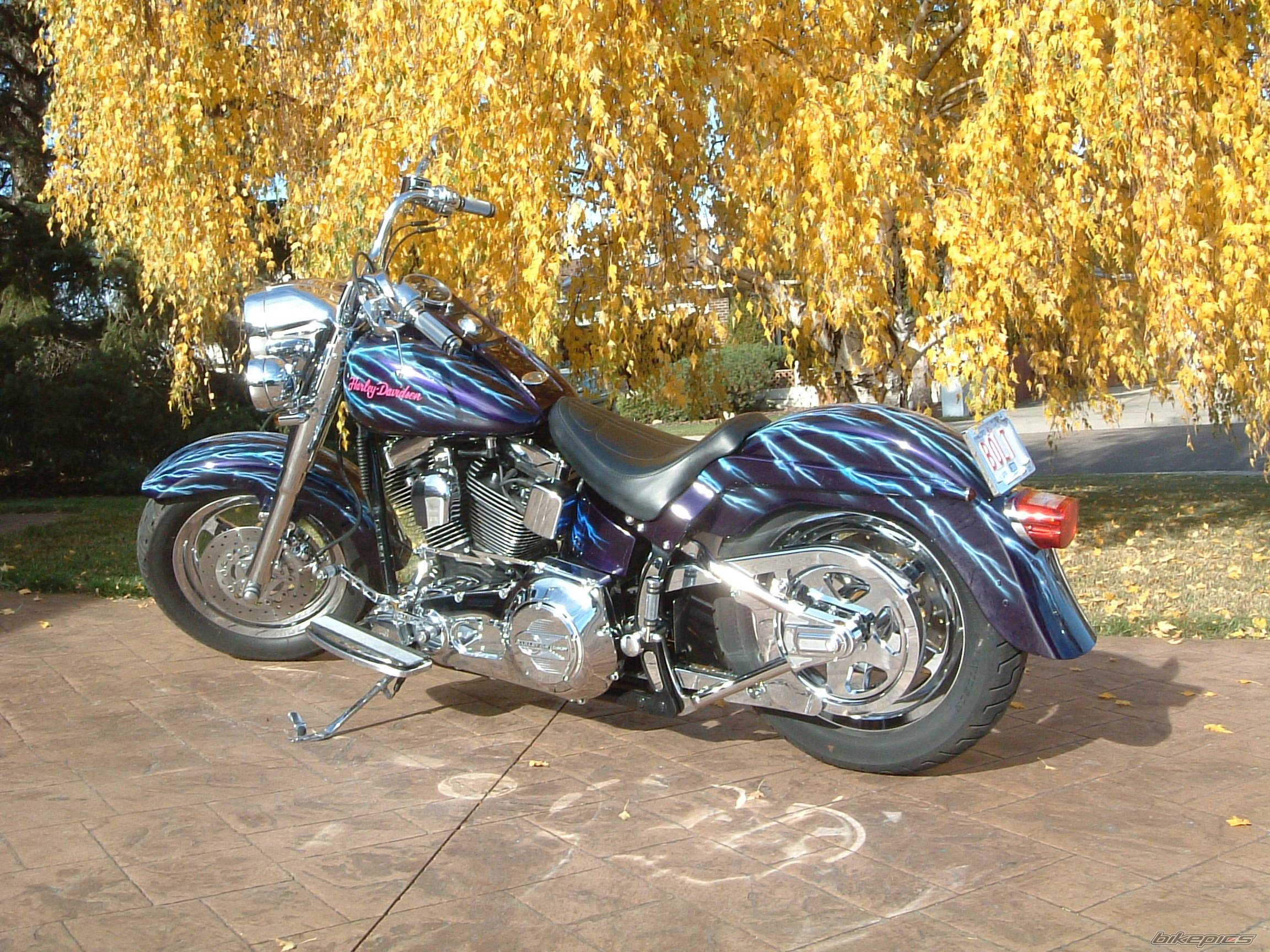 Photo 487860