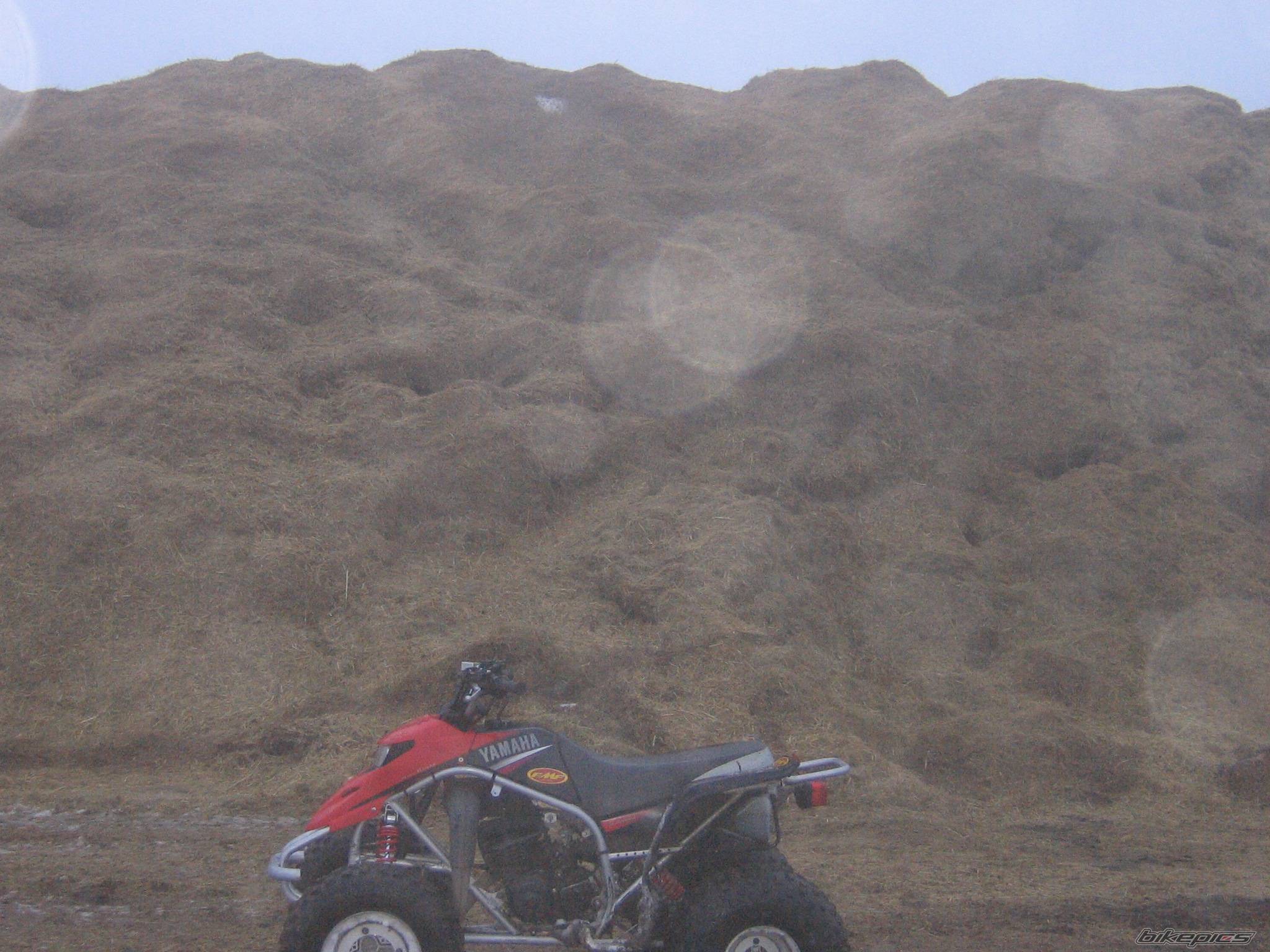 Photo 488078