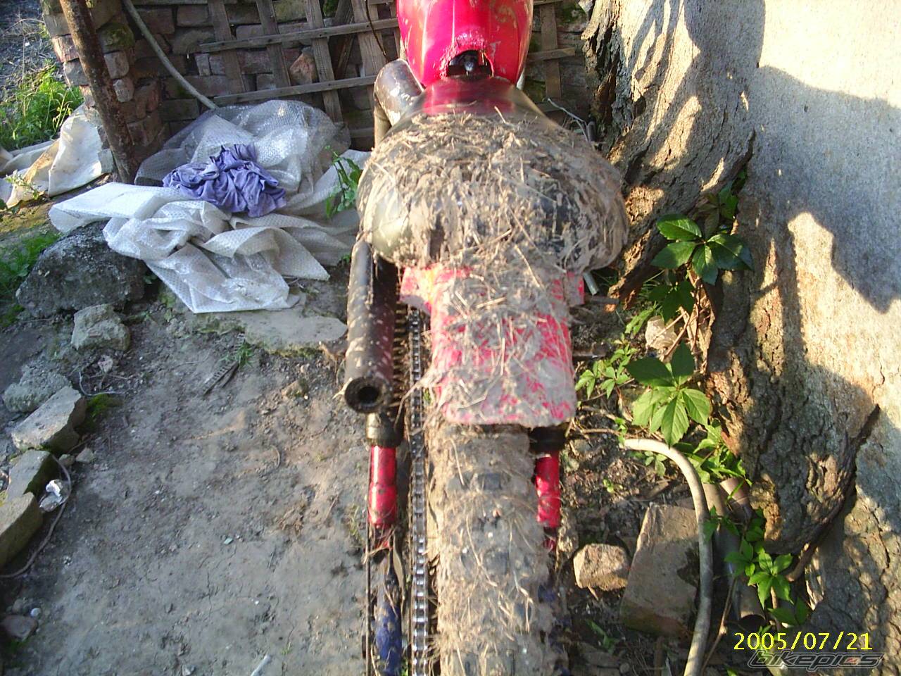 Bike Photo 488232