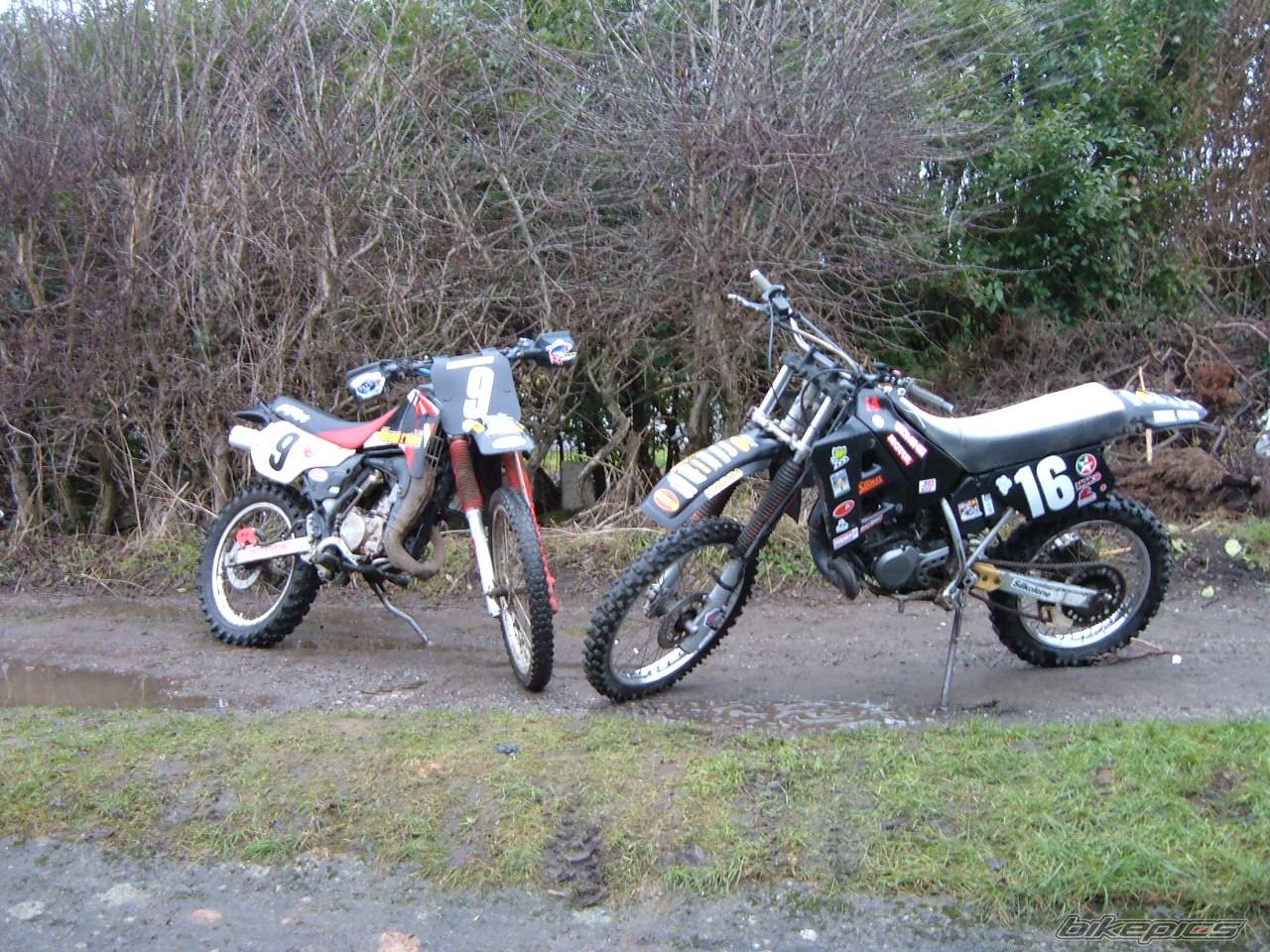 Bike Photo 488279