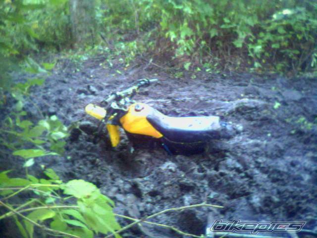 Bike Photo 488462