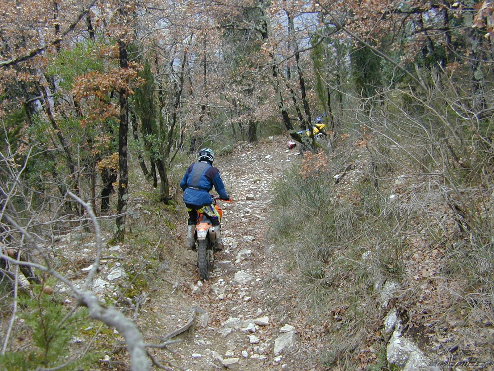 Bike Photo 488484