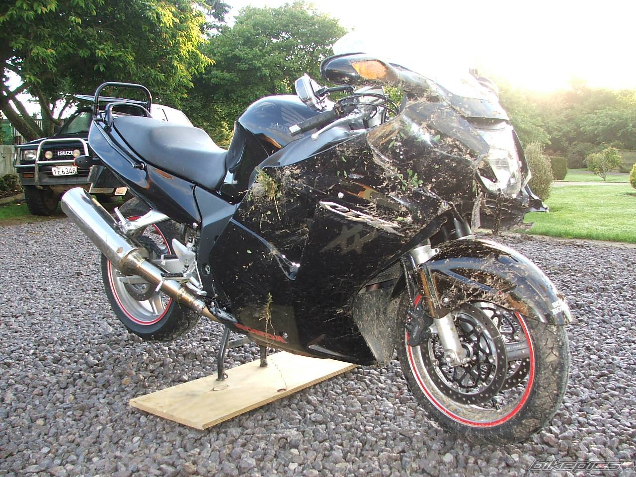 Bike Photo 488629