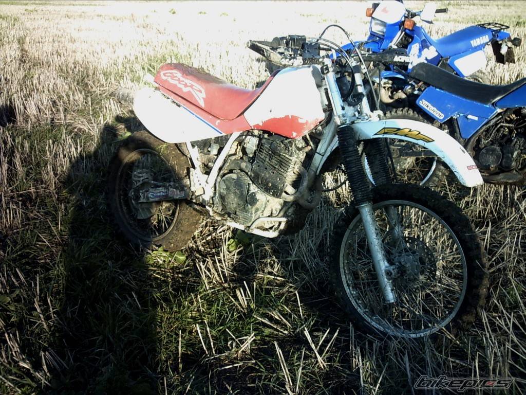 Bike Photo 488885