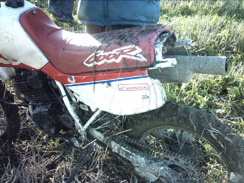 Bike Photo 488886