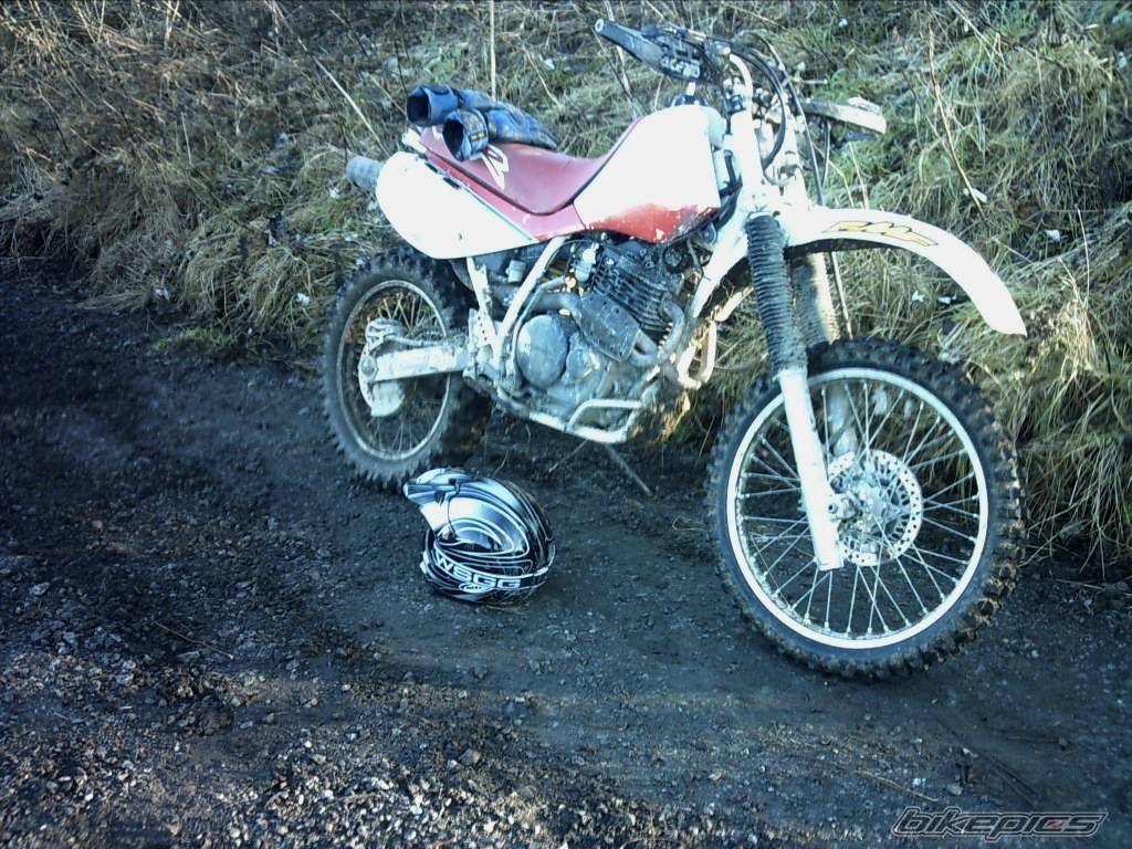 Bike Photo 488887