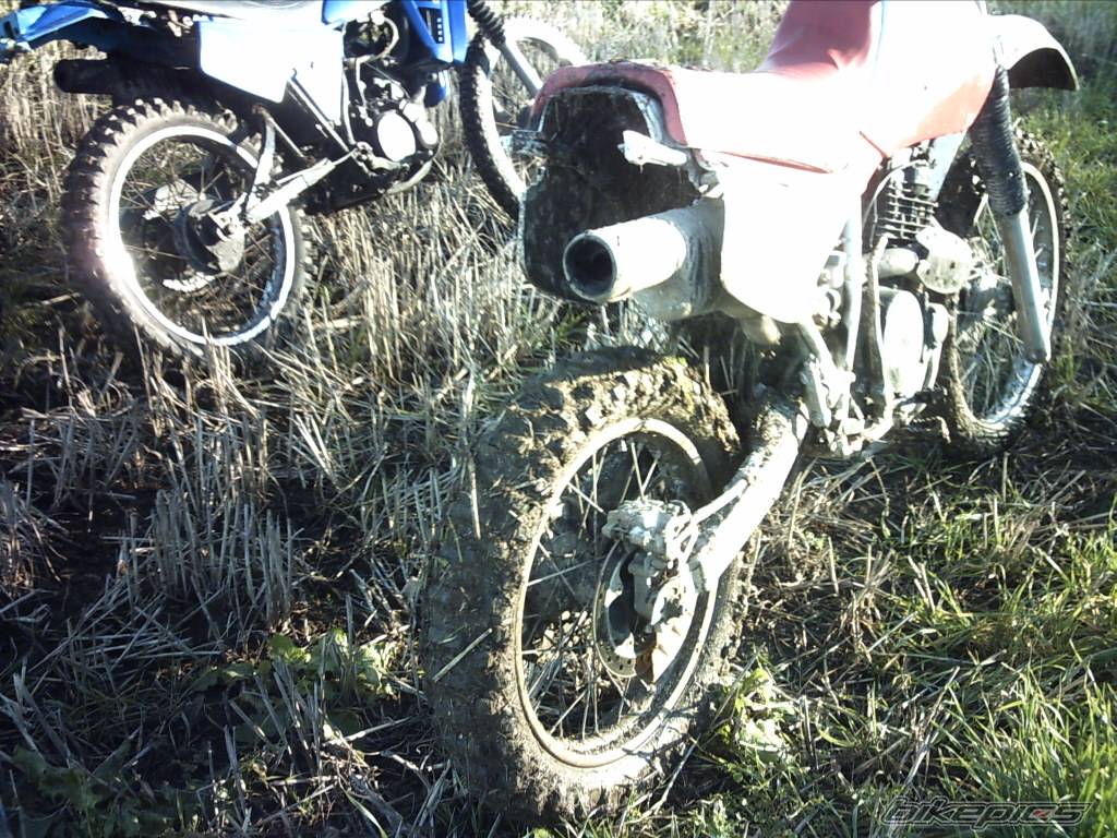 Bike Photo 488888
