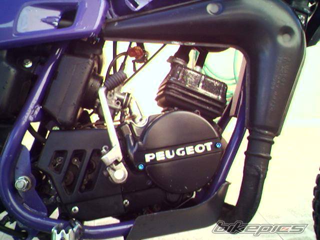 Bike Photo 488968