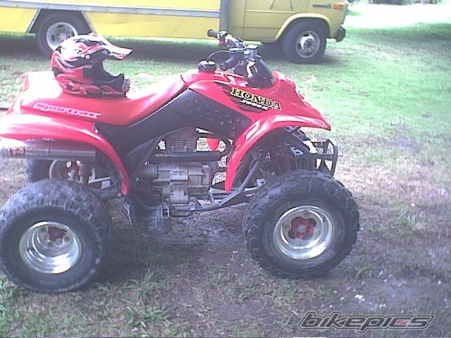 Photo 48916