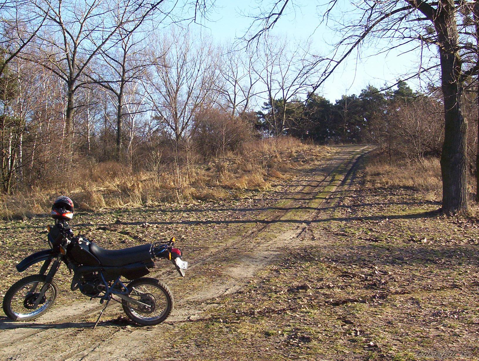 Photo 489274