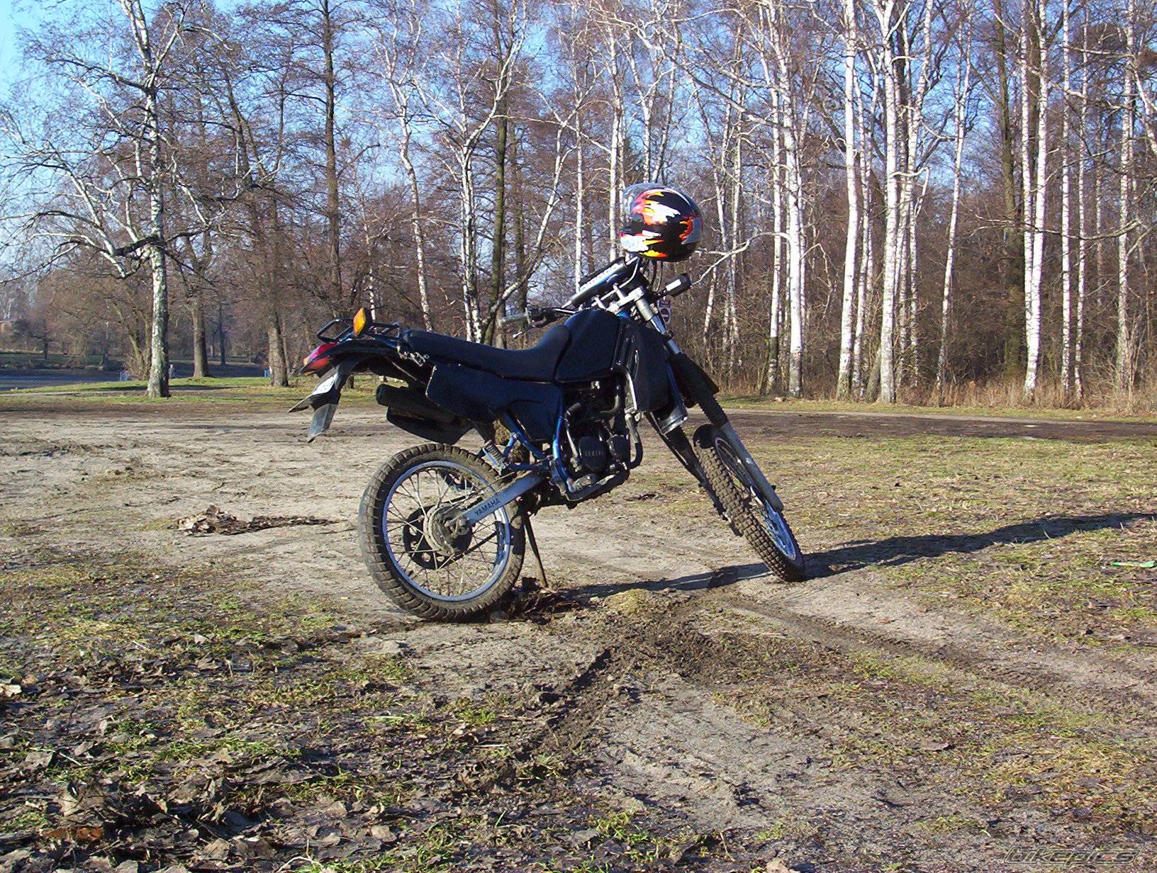 Photo 489279