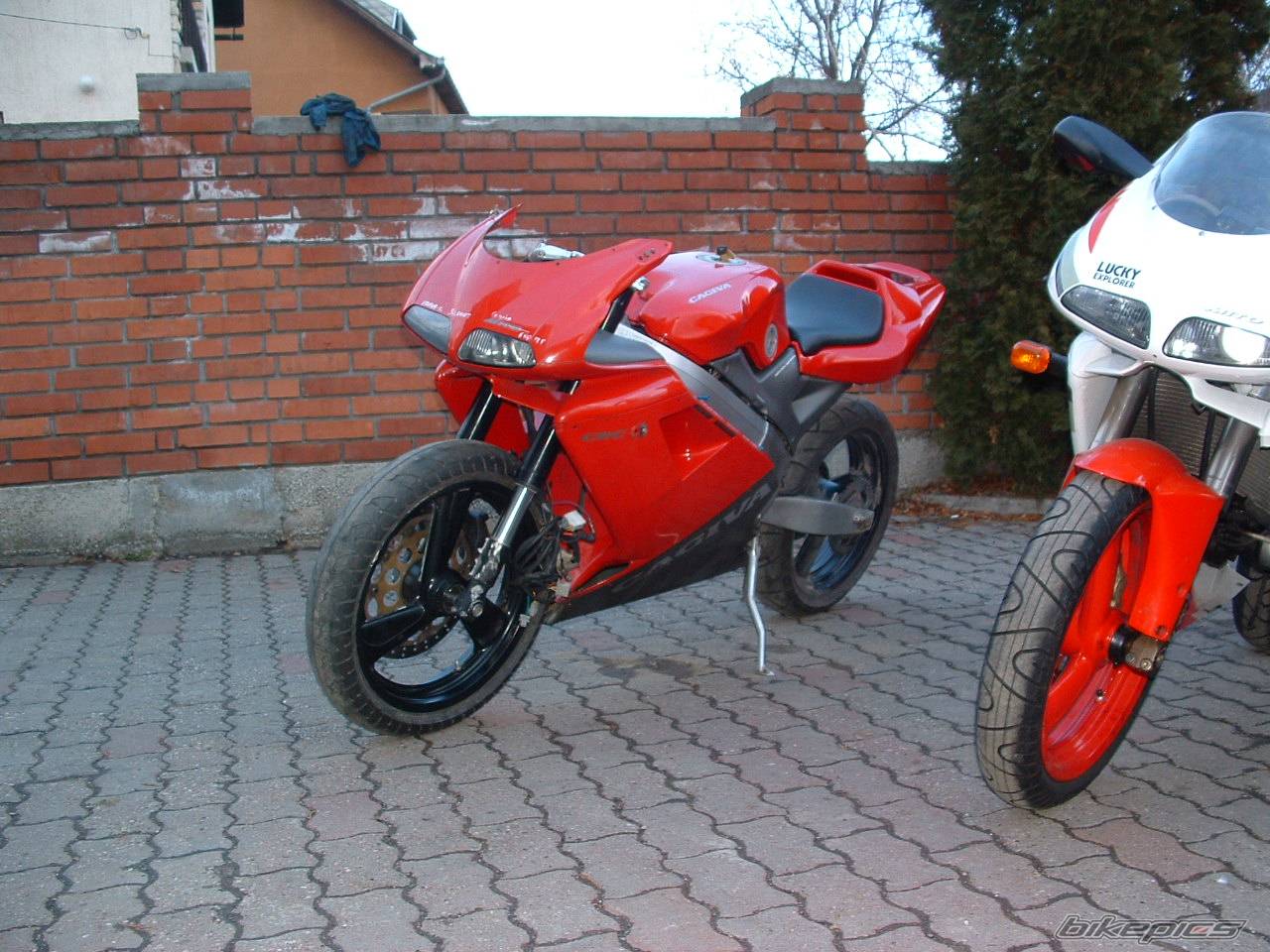 Bike Photo 489366