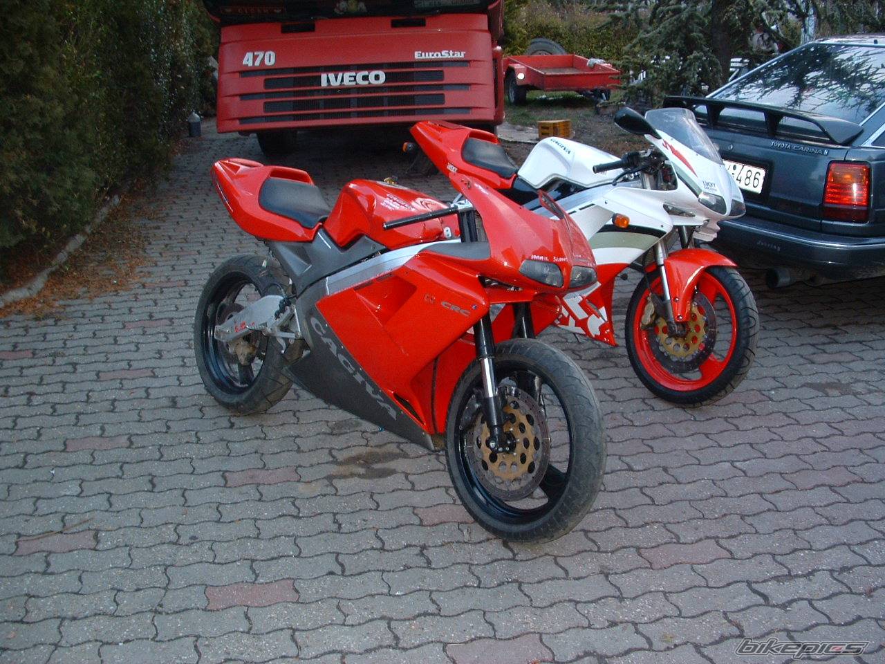Photo 489368